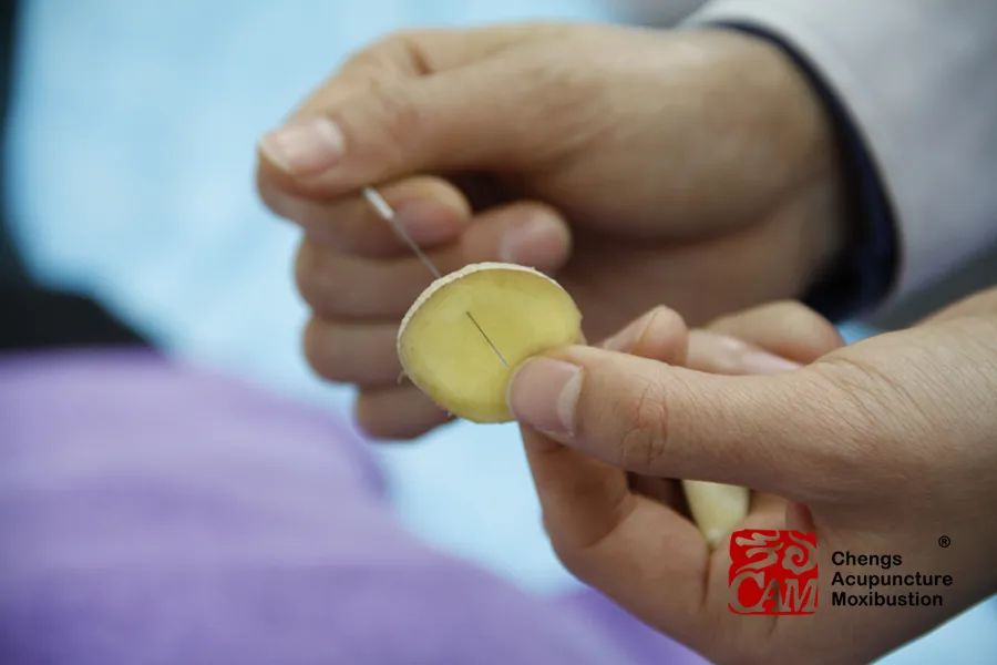 Understanding Symptoms of Spleen and Stomach Yang Deficiency and Dietary Recommendations