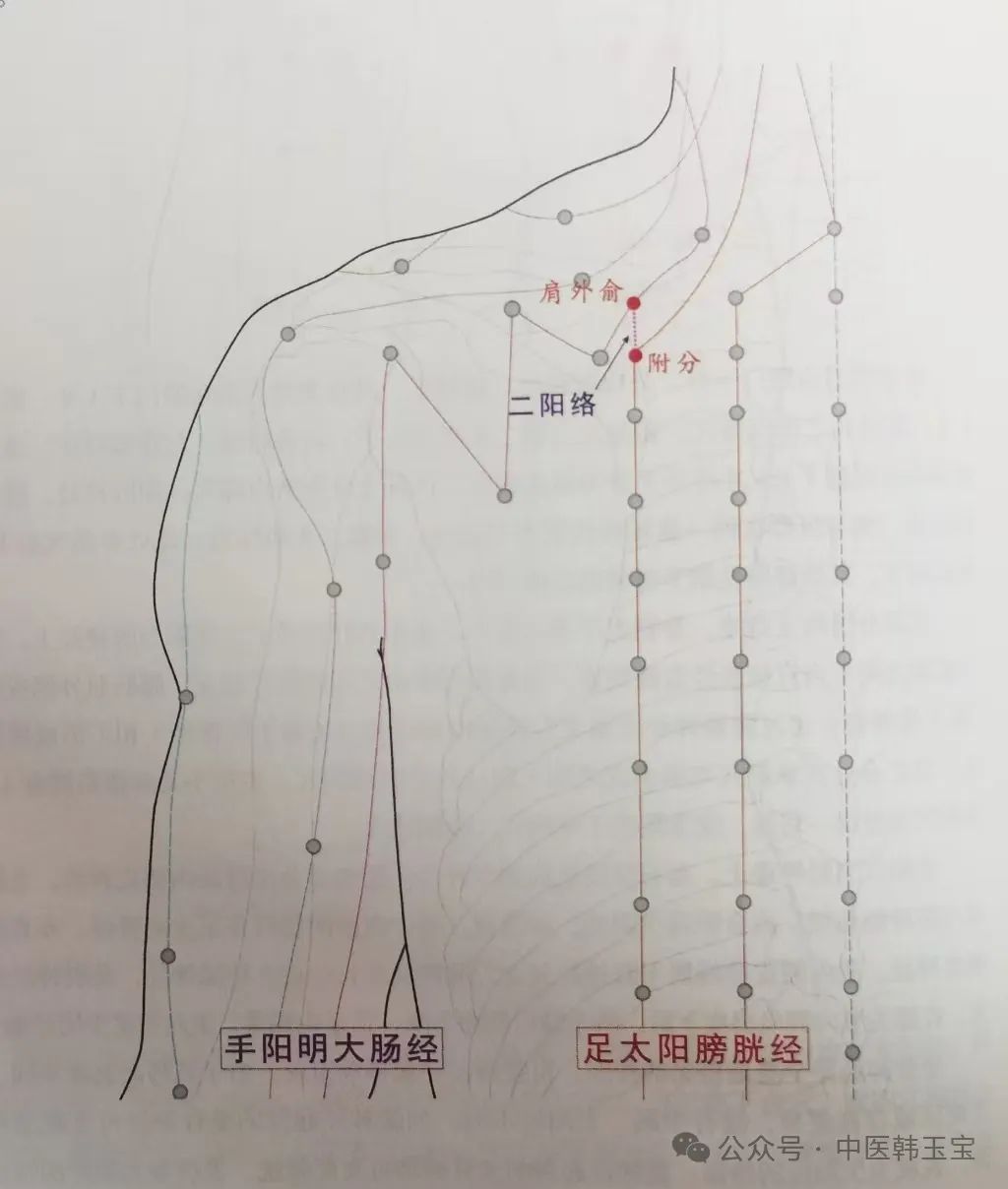 Meridian Studies I: Wu Men Meridian and Tai Yang Meridian