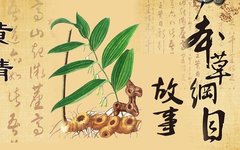 Traditional Chinese Medicine Popular Science: The Stories of Herbs from "Compendium of Materia Medica"