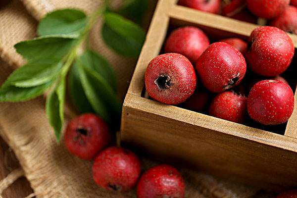 Understanding Medicinal Cuisine: Start Here