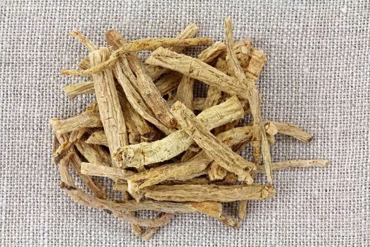 Does Drinking Astragalus Water Harm the Kidneys? Warning: These 4 Chinese Herbs Are Truly Harmful to the Kidneys