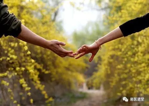 Balancing Yin and Yang: The Harmony of Phoenix and Dragon