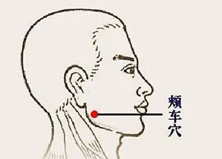 Common Acupuncture Points in Traditional Chinese Medicine for Reference