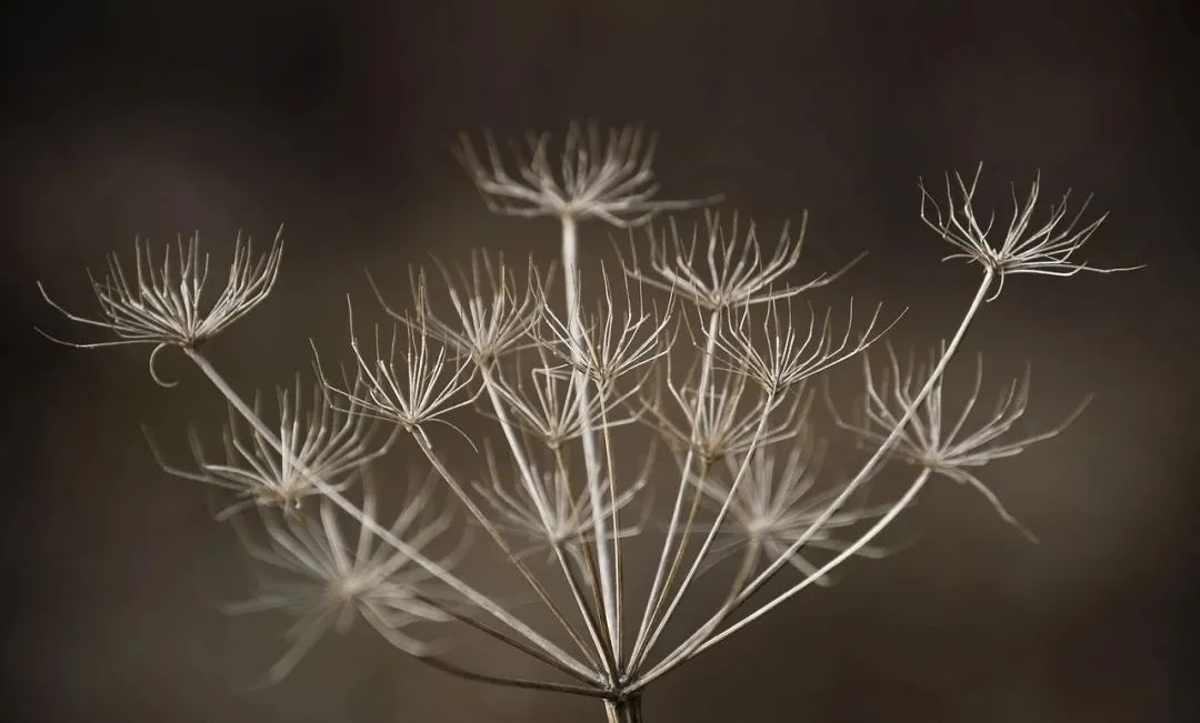Five Methods to Nourish Yin for Those with Yin Deficiency