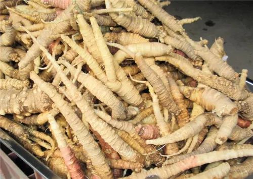 Understanding Medicinal Cuisine in Traditional Chinese Medicine