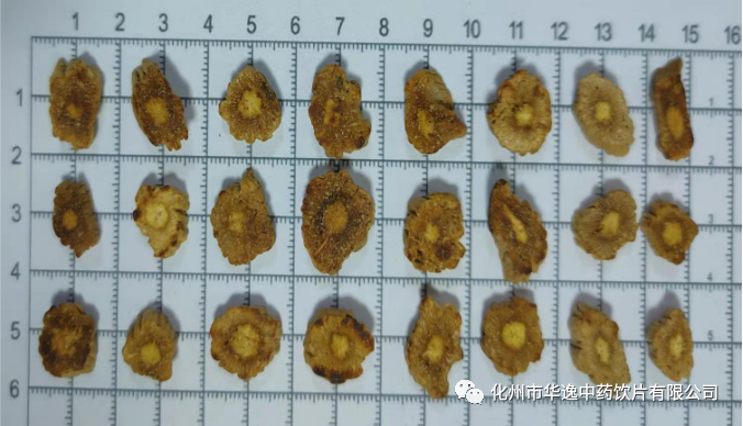 Common Chinese Medicinal Herbs: Codonopsis (Dang Shen)