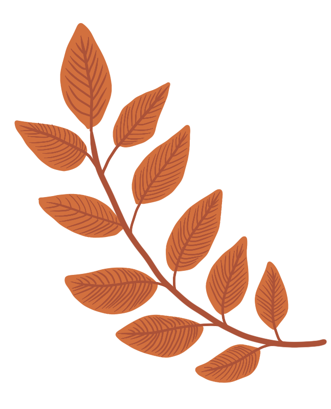 Huang Lian (Coptis chinensis): A Comprehensive Overview