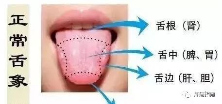 Tongue Diagnosis in Traditional Chinese Medicine: Observation of the Tongue