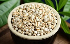 The Efficacy and Usage of Coix Seed (Yi Yi Ren)