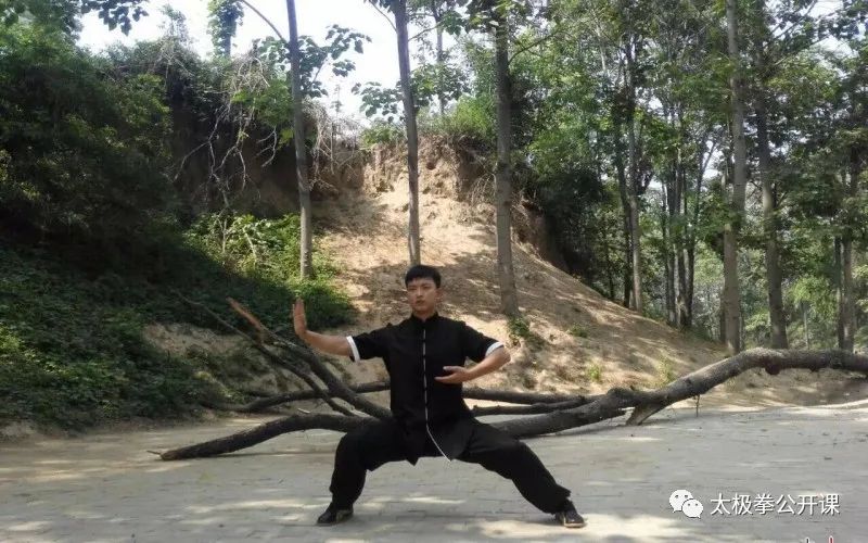 The 23 Palm Techniques of Tai Chi: Infinite Benefits After Mastery!