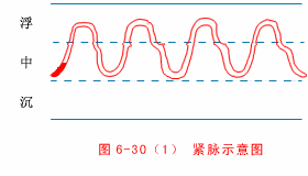 The Twenty-Eight Pulses and All Pulse Patterns in Traditional Chinese Medicine (Animated Illustrations)