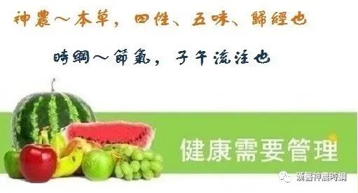 An Overview of Medicinal Cuisine
