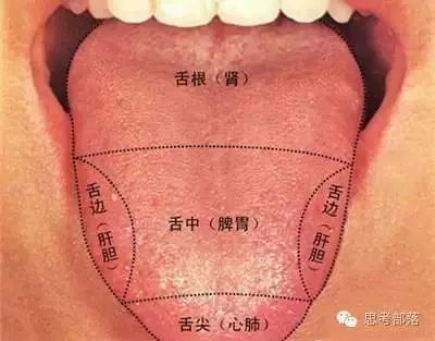 Comprehensive Guide to Tongue Diagnosis (8): 72 Types of Tongue Diagnosis Charts