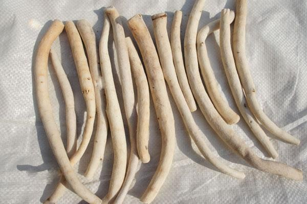 Discussion on Hunan Herbal Medicine | Nourishing Blood, Regulating Qi, and Harmonizing Liver and Spleen