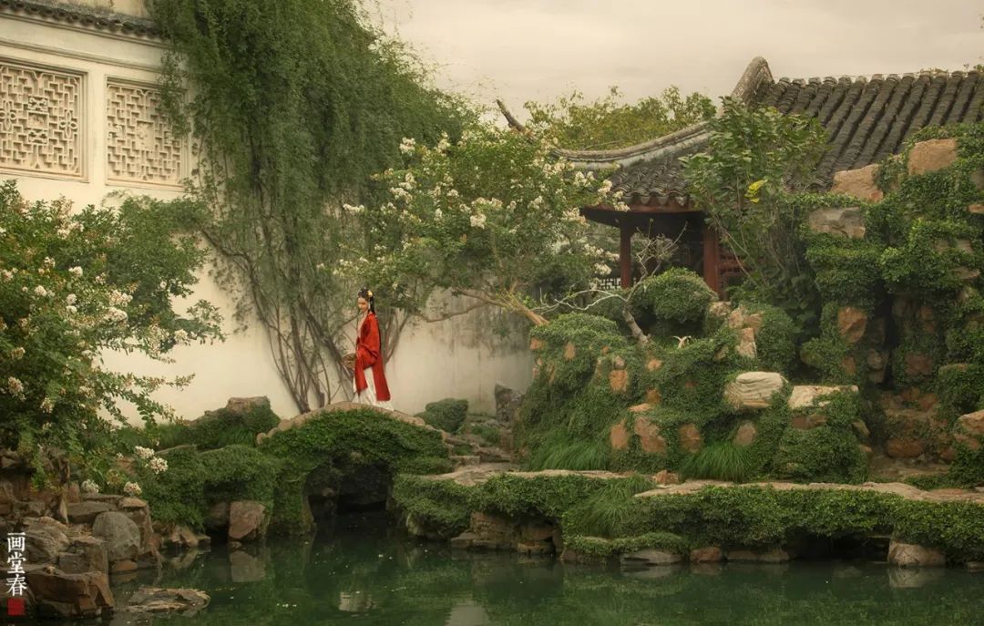 The Power of the Five Elements in Traditional Chinese Medicine