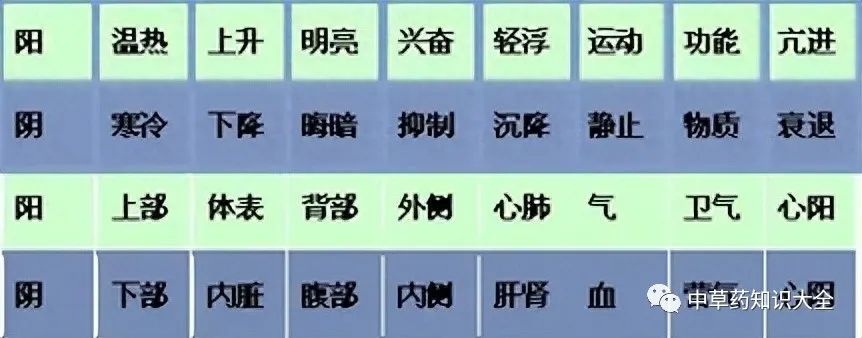 Understanding TCM Diagnosis: Eight Principles and Organ Differentiation to Enhance Your Diagnostic Skills!