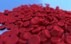 What to Eat for Blood Nourishment? Top Ten Blood-Nourishing Foods