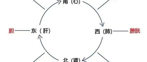 Balancing the Five Organs