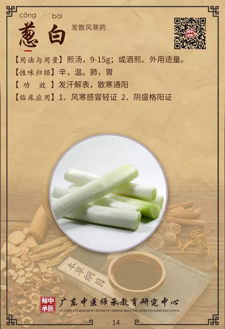Traditional Chinese Medicine Insights: Differentiating Between Wind-Cold and Wind-Heat in Common Colds
