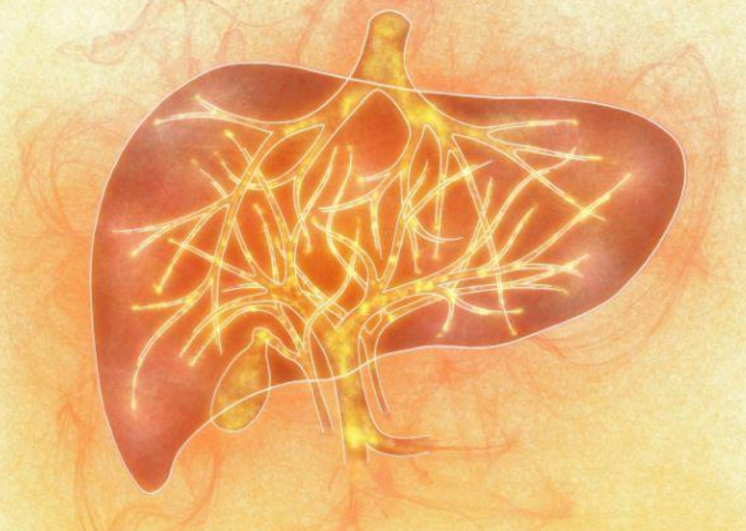 Traditional Chinese Medicine: Liver Qi Stagnation? Learn 5 Acupoints to Soothe the Liver and Relieve Depression, Nature's Own Longdan Xiegan Wan