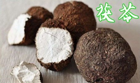 Daily Herb: Poria (Fú Línɡ)