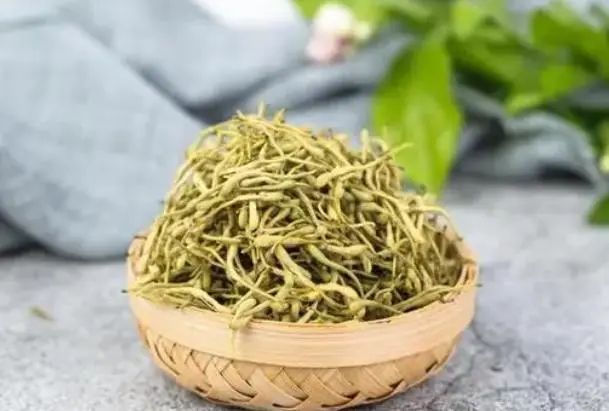 Honeysuckle: A Treasure for Health, Helping You Solve 5 Problems
