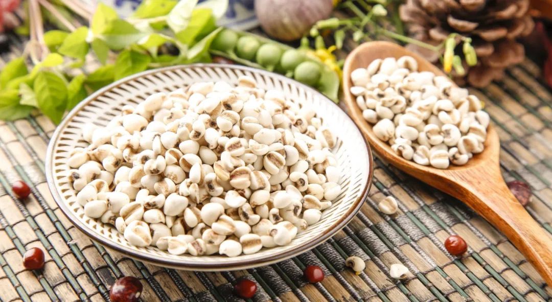 Medicinal and Edible Properties of Coix Seed