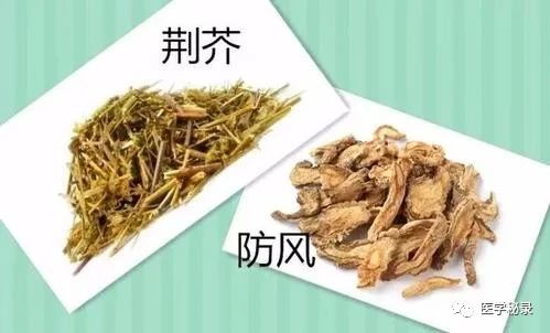 A Classic Formula of Two Herbs for Treating Both Wind-Heat and Wind-Cold Colds