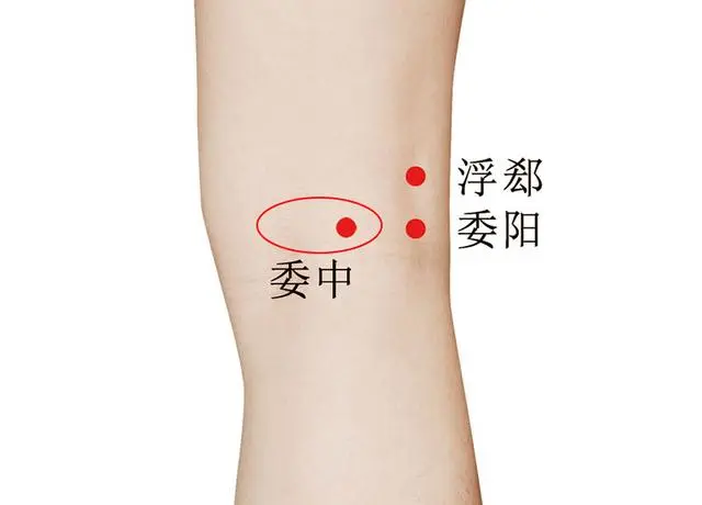 57 Practical Acupuncture Points Everyone Can Use