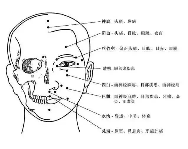 The Most Comprehensive Atlas of Acupuncture Points and Their Effects!