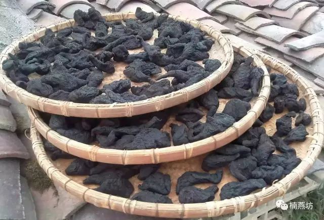 Traditional Preparation Method: 'Nine Steams and Nine Suns' of Cooked Rehmannia