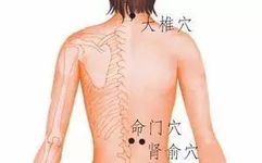 Moxibustion! Remember These 9 Acupuncture Points to Address 90% of Diseases!