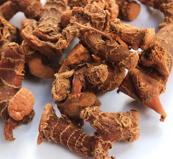 The Differences in Efficacy Among Various Types of Ginger: Fresh Ginger, Dried Ginger, Processed Ginger, Ginger Charcoal, and Galangal