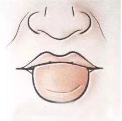 The Heart Reflected in the Tongue: Understanding Tongue Diagnosis in TCM