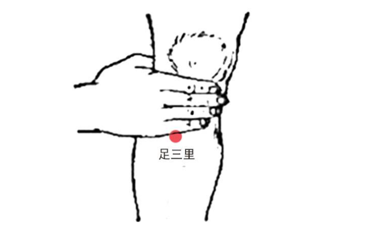 The Fastest Way to Boost Immunity: One Herbal Medicine to Tonify Lung Qi, Spleen Qi, and Kidney Qi!