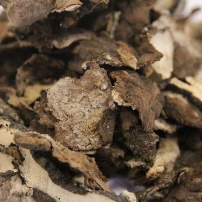 Can Shen Yang Xu Patients Take Shenrong Guben Huanshao Wan?