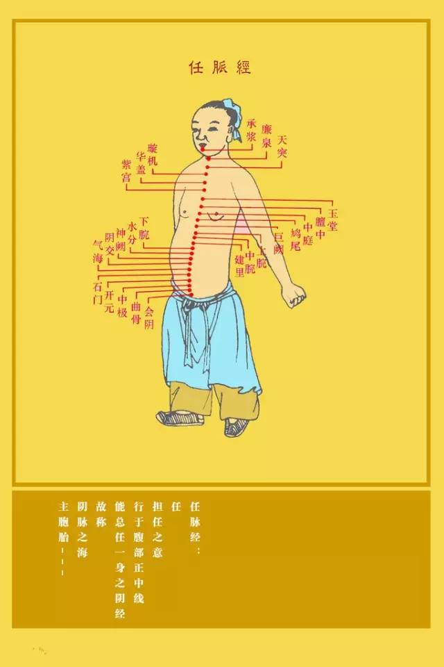 Understanding the Eight Extraordinary Meridians in Traditional Chinese Medicine