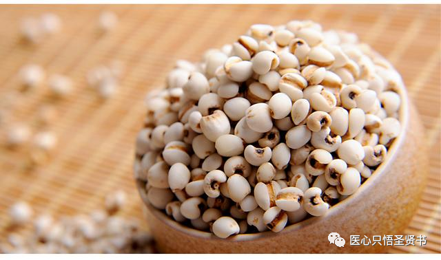 The Door to Qi Transformation in Cold Damage: Coix Seed (Yi Yi Ren)