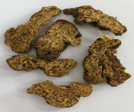 Understanding Atractylodes: A Comprehensive Guide to This Traditional Chinese Herb
