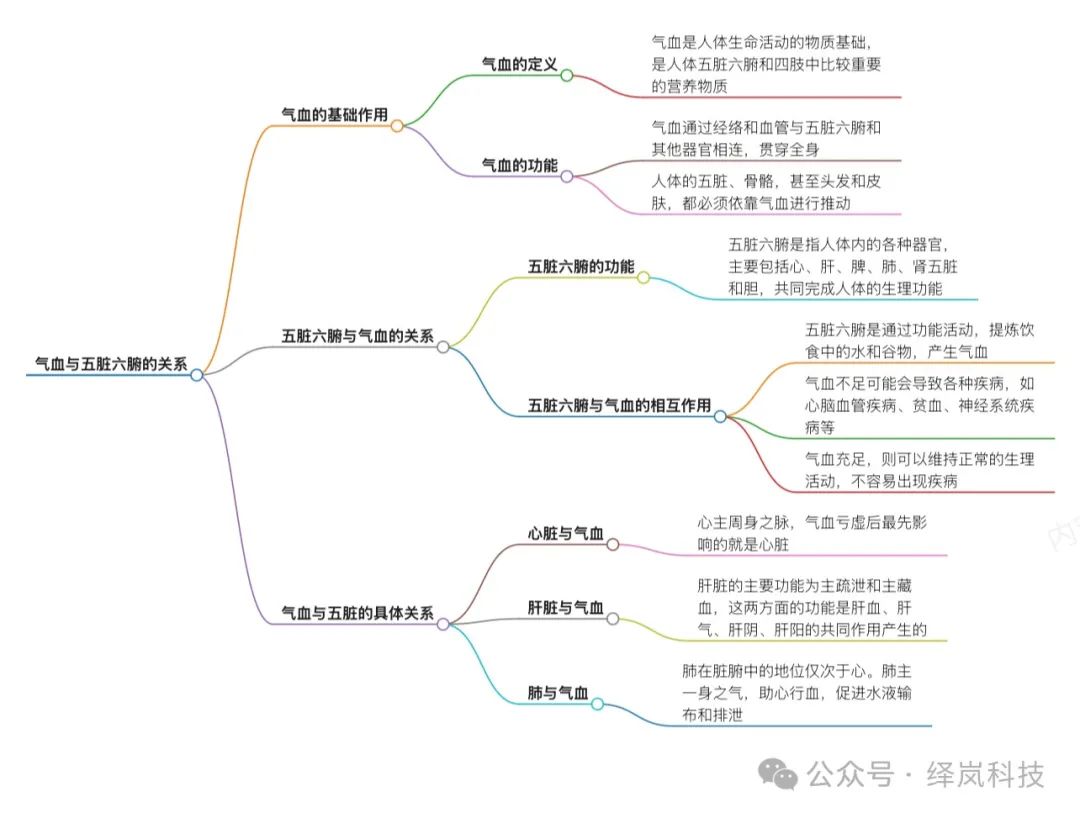 The Relationship Between Qi, Blood, and the Five Zang Organs and Six Fu Organs