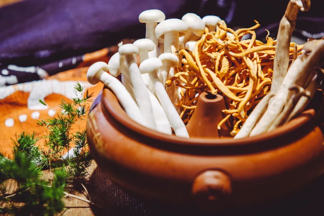 Liver Qi Stagnation? Health Preservation Tips for Suboptimal Health