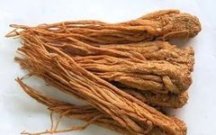 Three Remarkable Uses of Angelica Sinensis (Dang Gui)