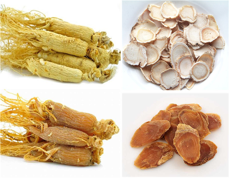 Daily Herb 31: Ginseng - How to Choose and Distinguish Wild Ginseng?