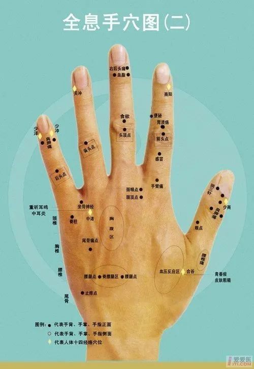 Comprehensive Guide to Holographic Diagnosis in Traditional Chinese Medicine