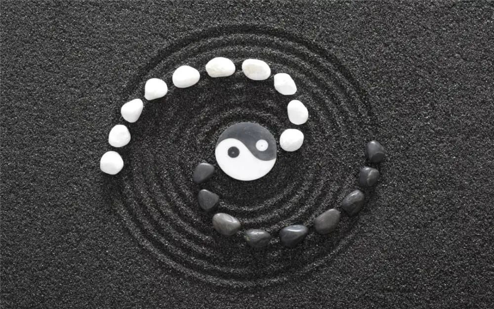 What is Tai Chi Wisdom?