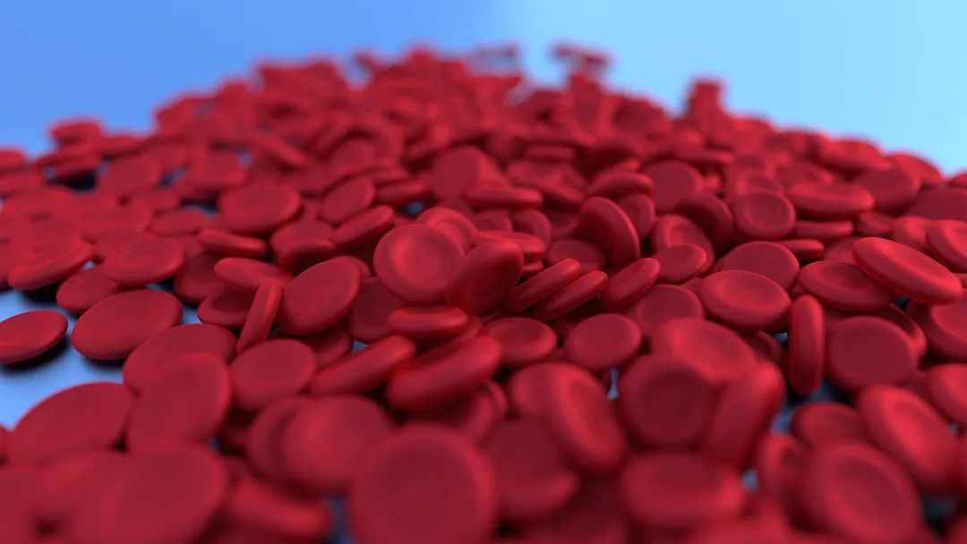 What to Eat for Blood Nourishment? Top Ten Blood-Nourishing Foods