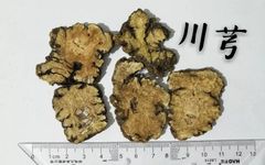 Chuanxiong (A Comprehensive Study of Historical Materia Medica)