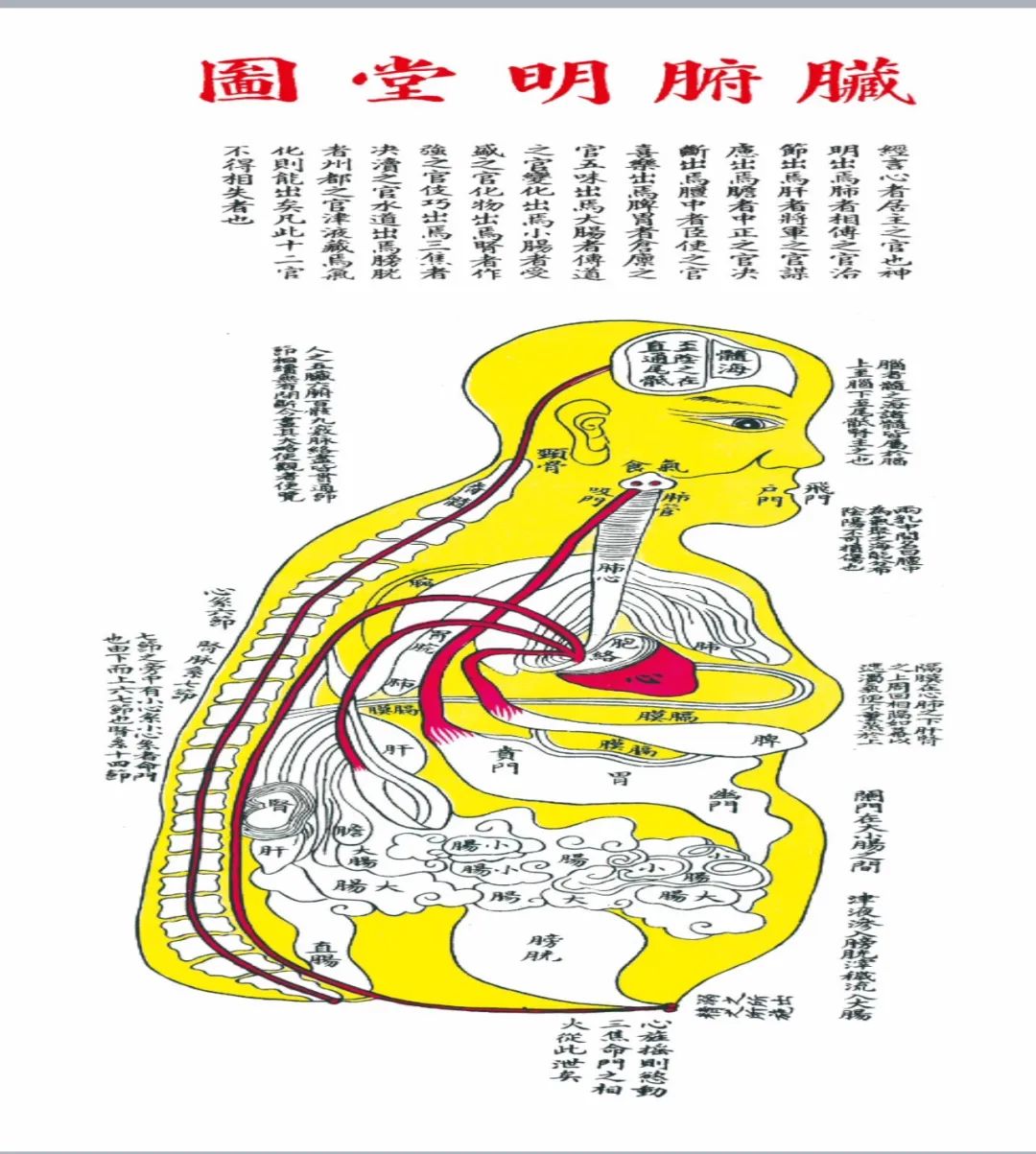 Daoyin Technique: Encountering Your Abundant Self!