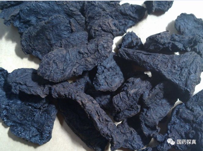 Special Appreciation of Cooked Rehmannia