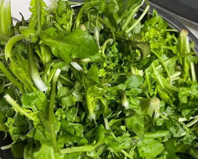 Don't Miss This 'King of Wild Vegetables' for Liver Damp-Heat in Early Spring